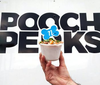 Pooch n Perks Food Truck Logo Design