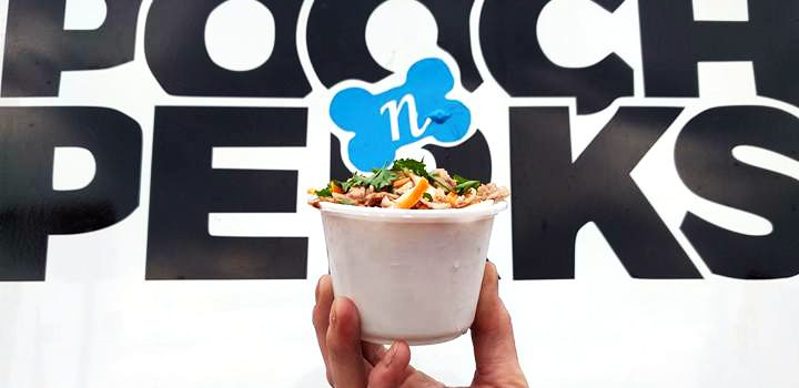 Pooch n Perks Food Truck Logo Design
